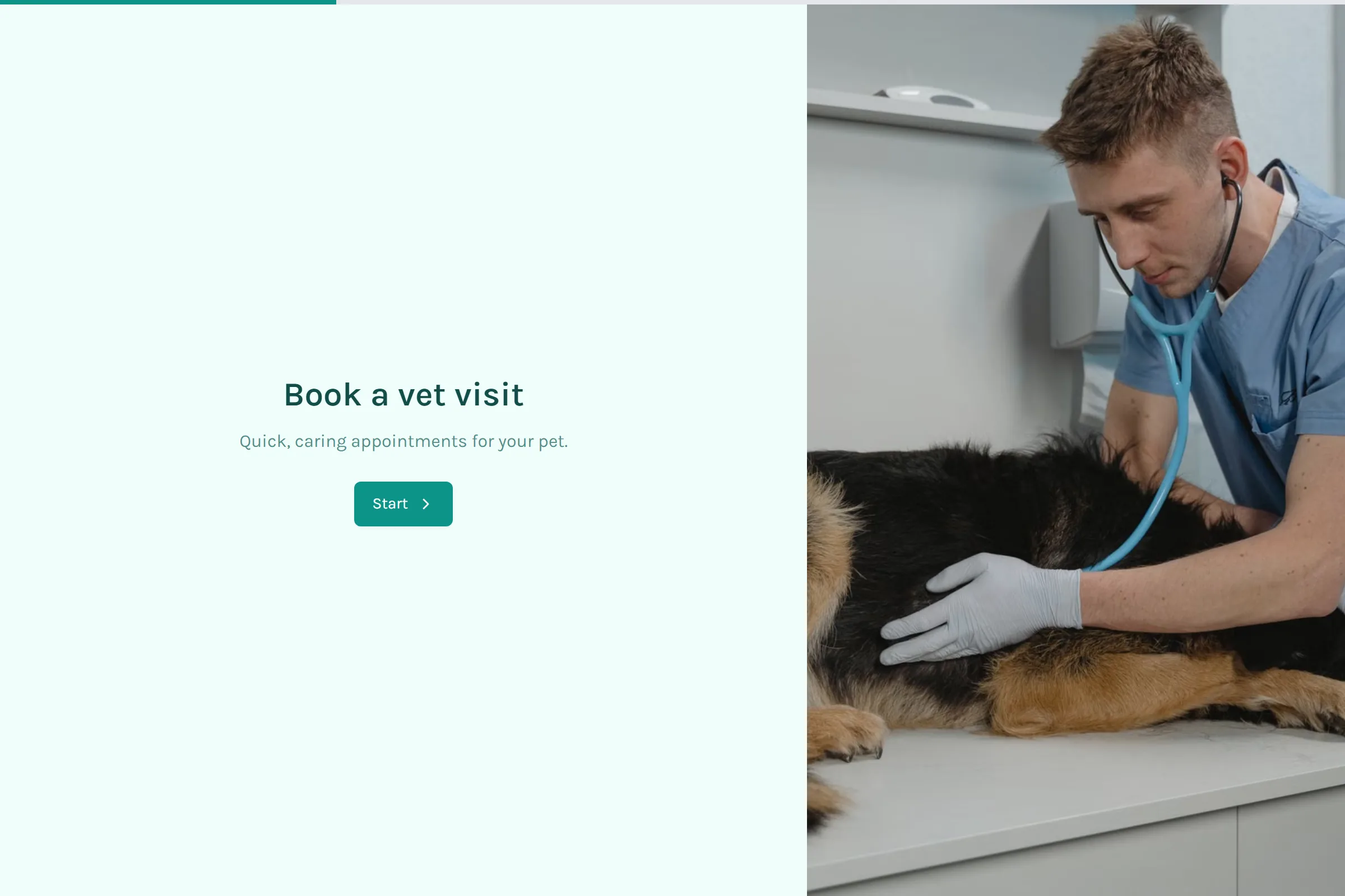 Vet Appointment template preview