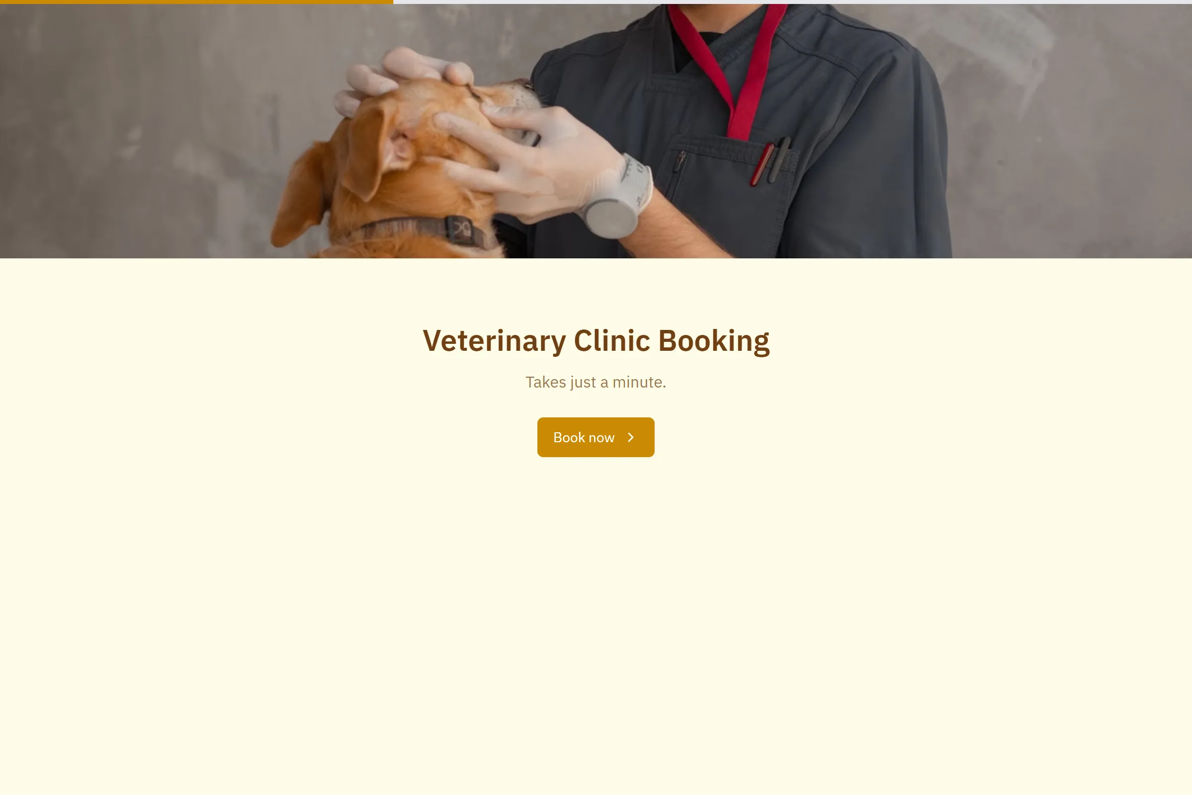 Veterinary Clinic Booking template preview