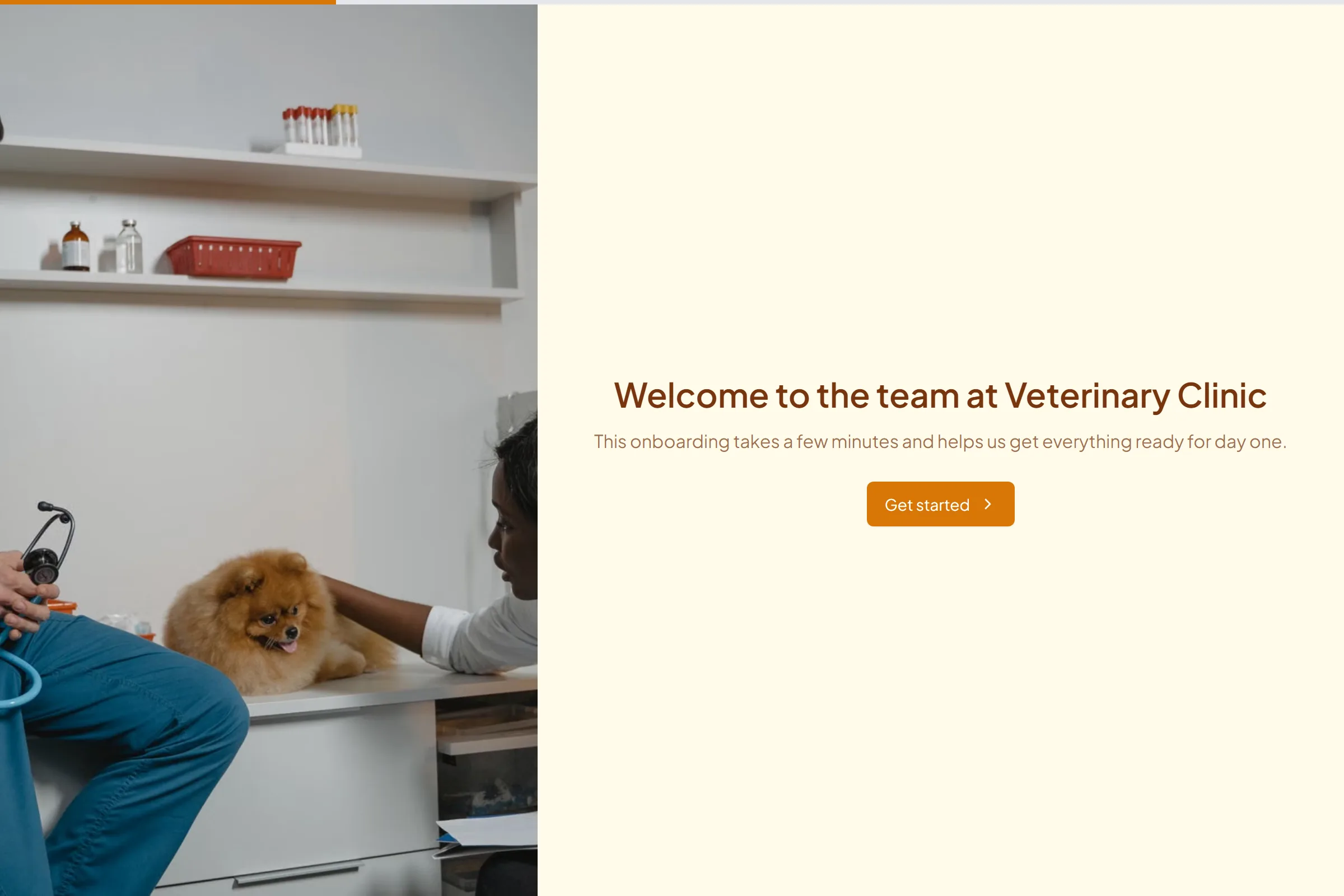 Veterinary Clinic New Starter Onboarding template preview