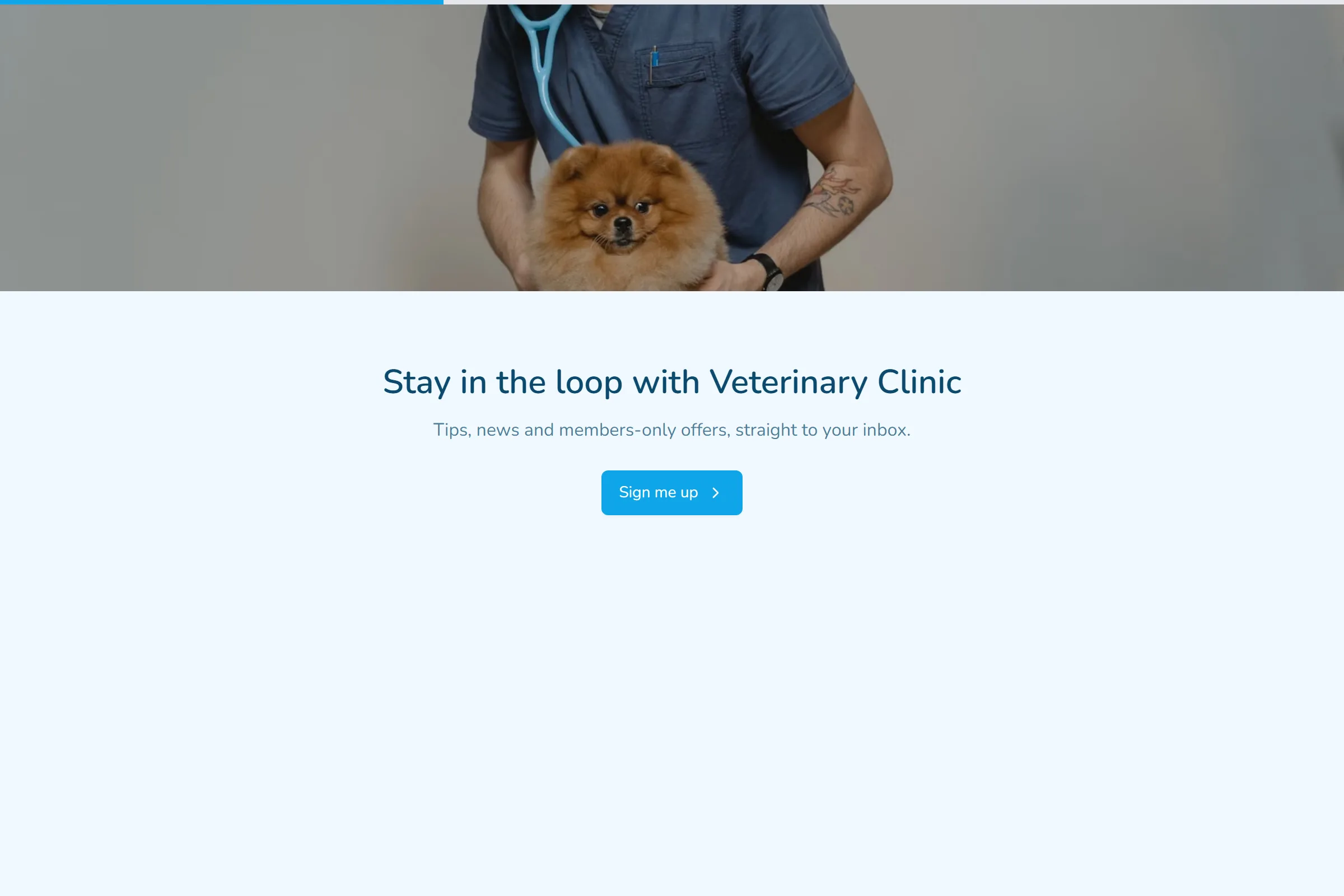 Veterinary Clinic Newsletter & Updates Signup template preview