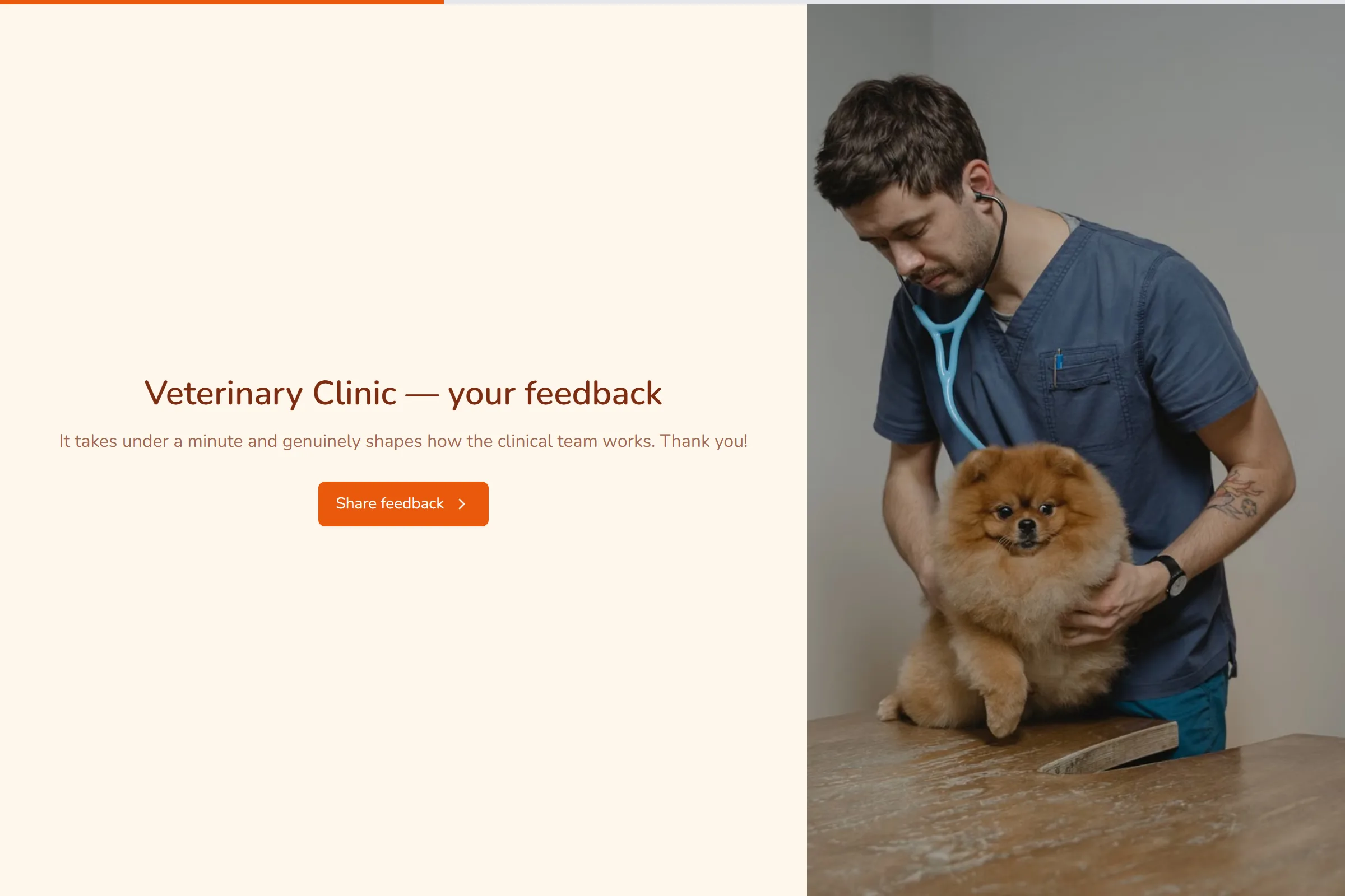 Veterinary Clinic Satisfaction Survey template preview