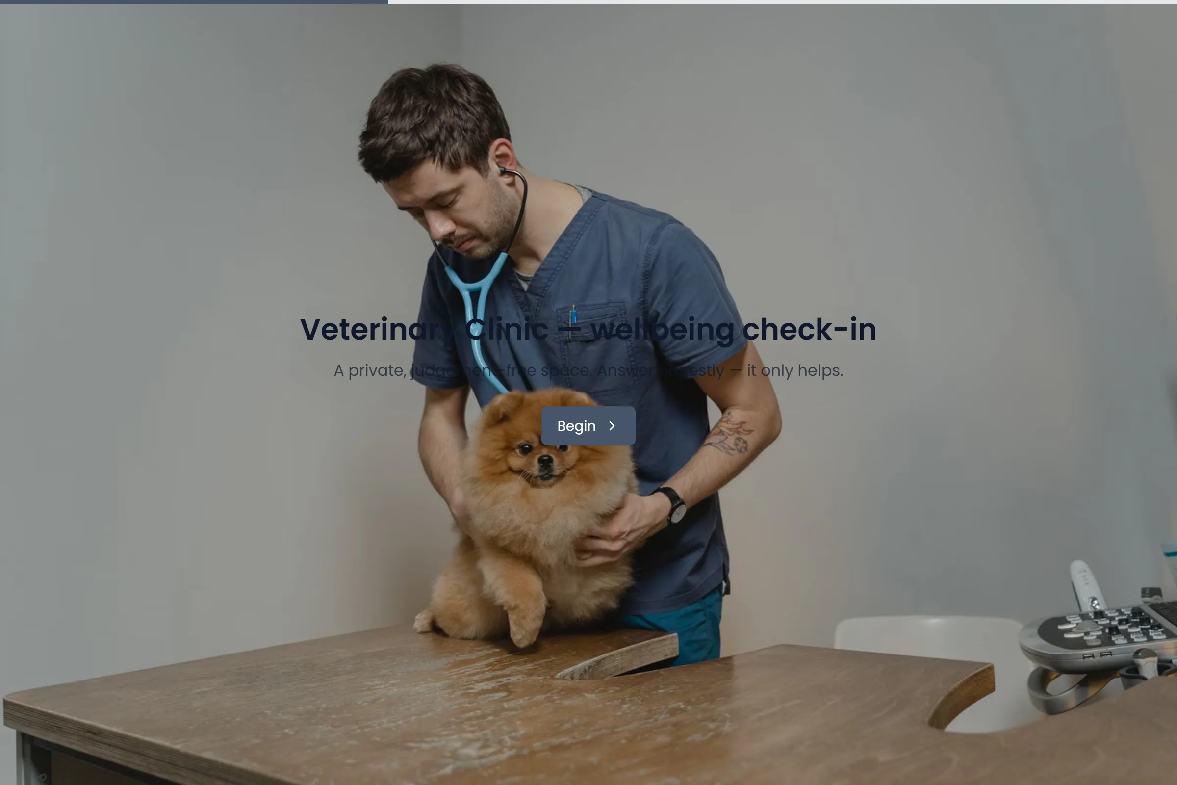Veterinary Clinic Wellbeing Check-in template preview