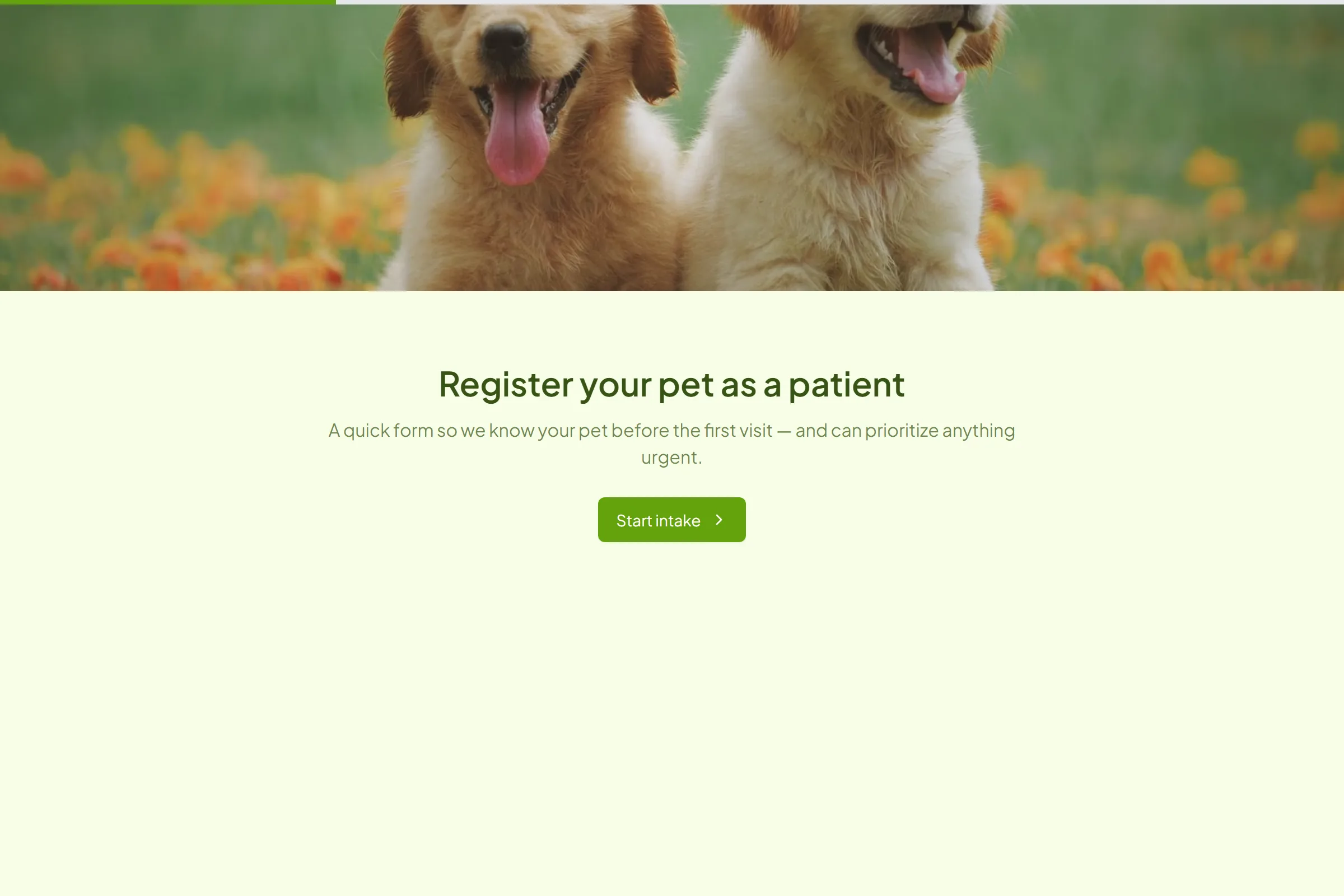 Veterinary New Patient Intake template preview