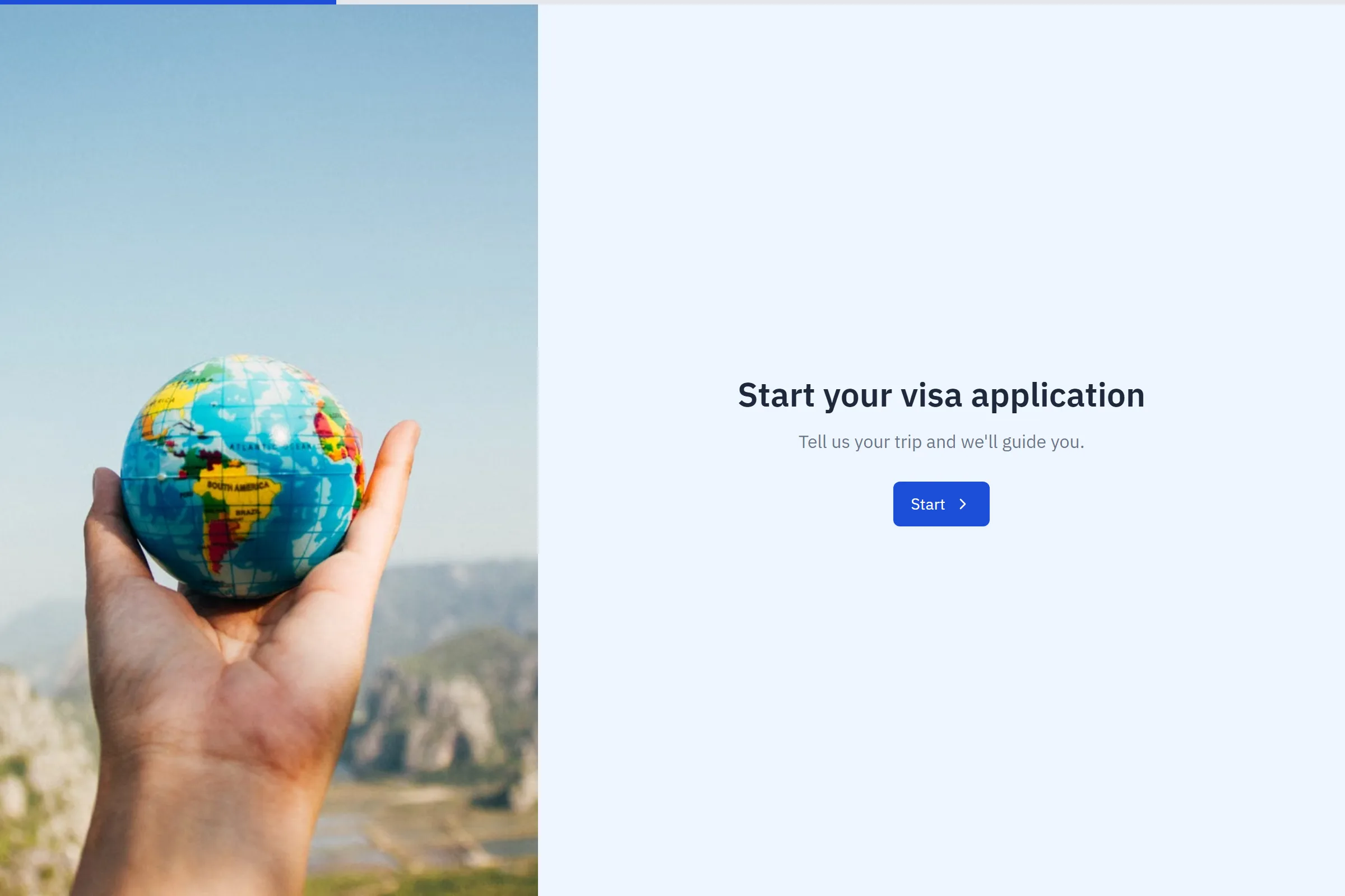 Visa Application template preview