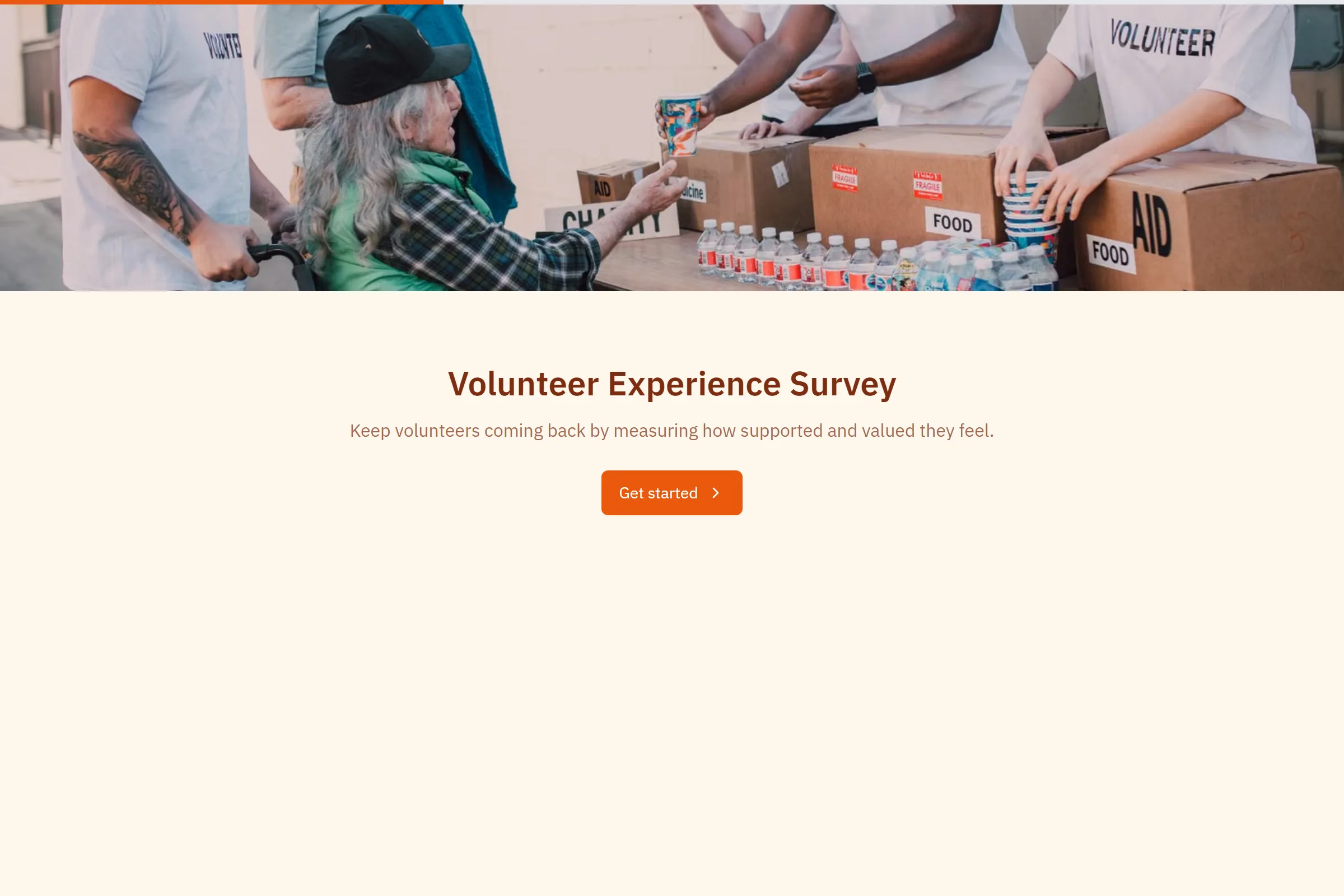 Volunteer Experience Survey template preview