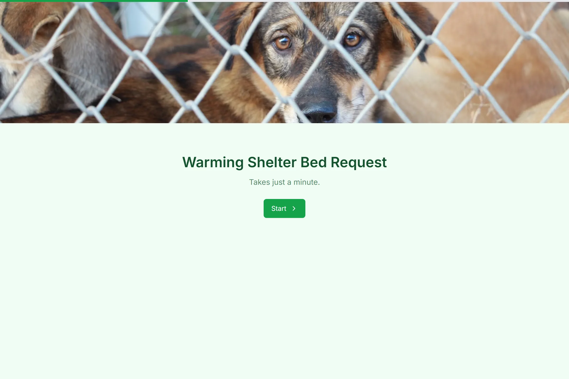 Warming Shelter Bed Request template preview