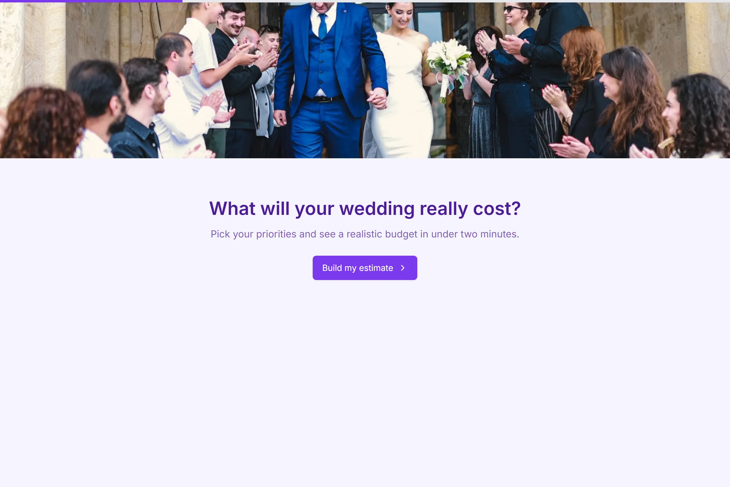 Wedding Budget Estimator template preview