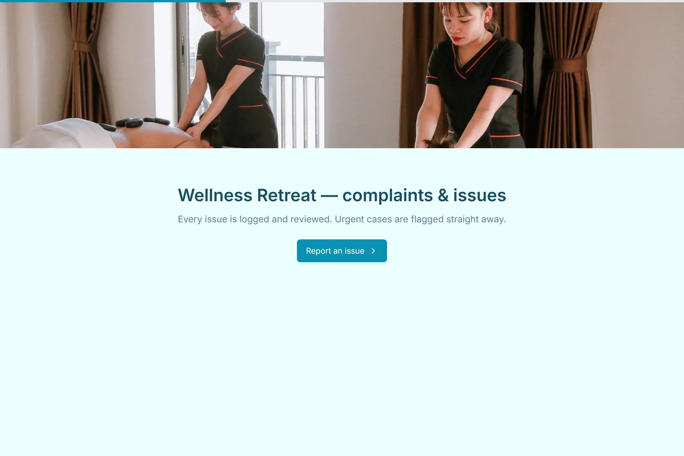 Wellness Retreat Complaint / Issue Form template preview