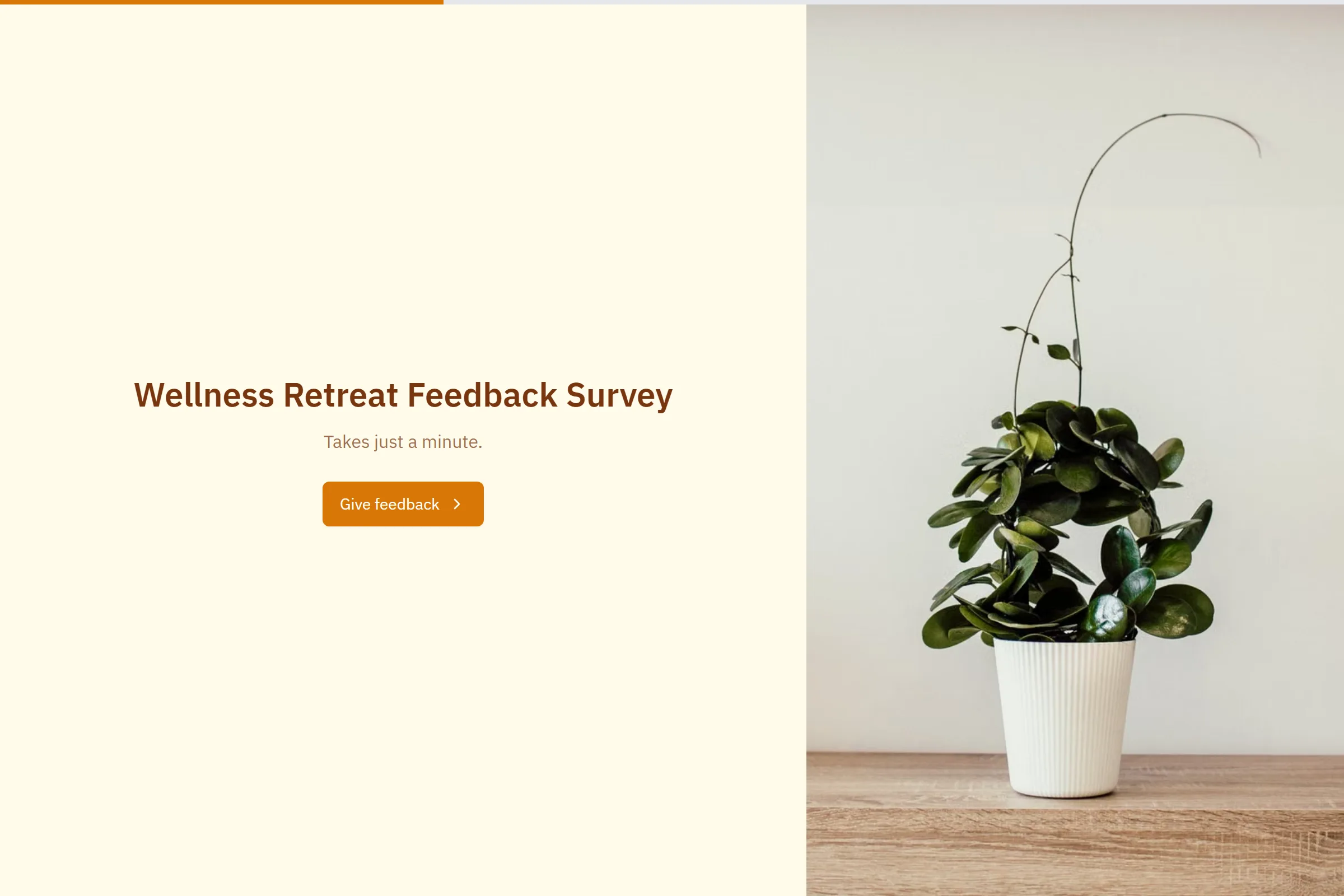 Wellness Retreat Feedback Survey template preview