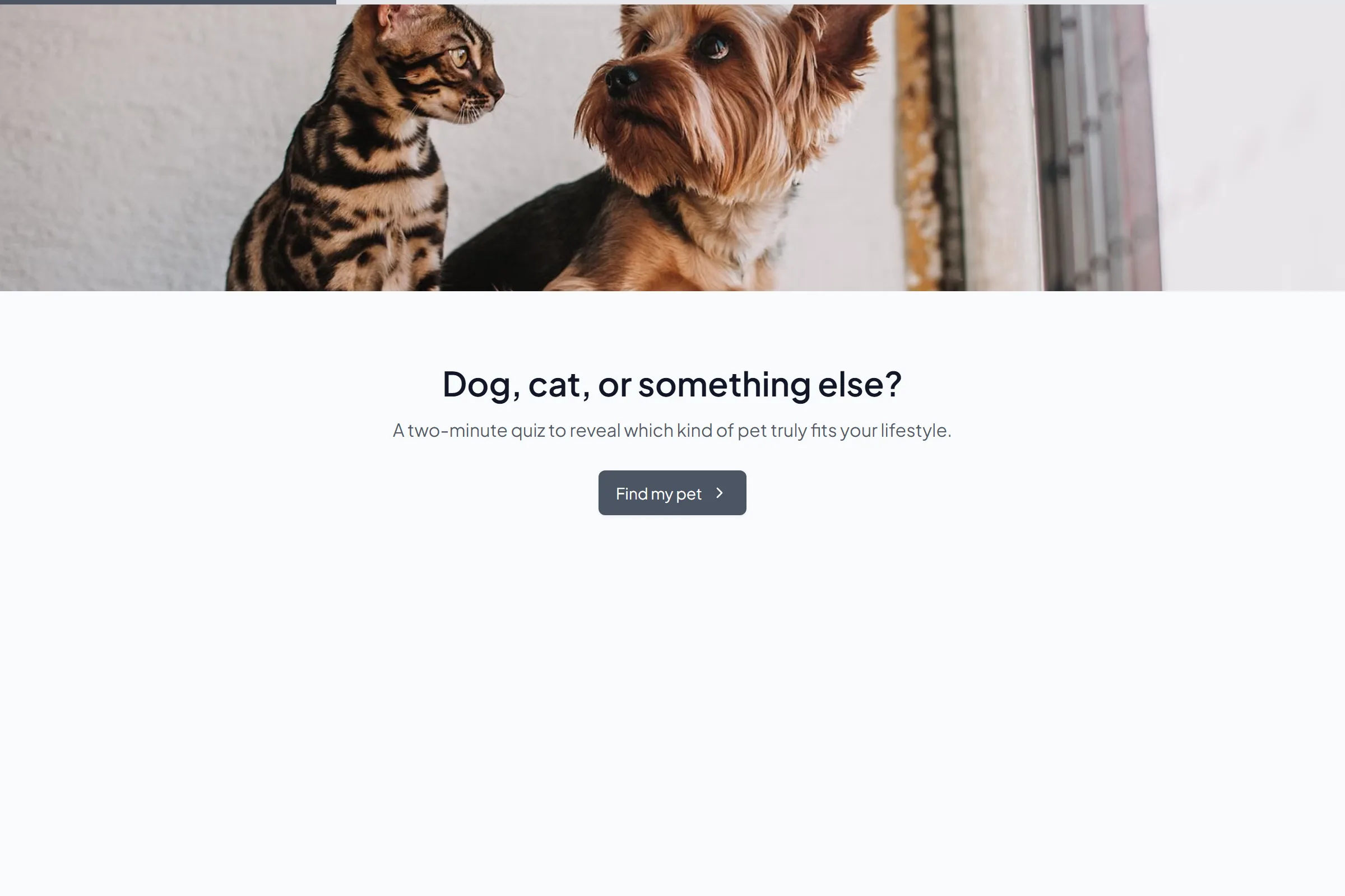 Which Pet Is Right For You? template preview