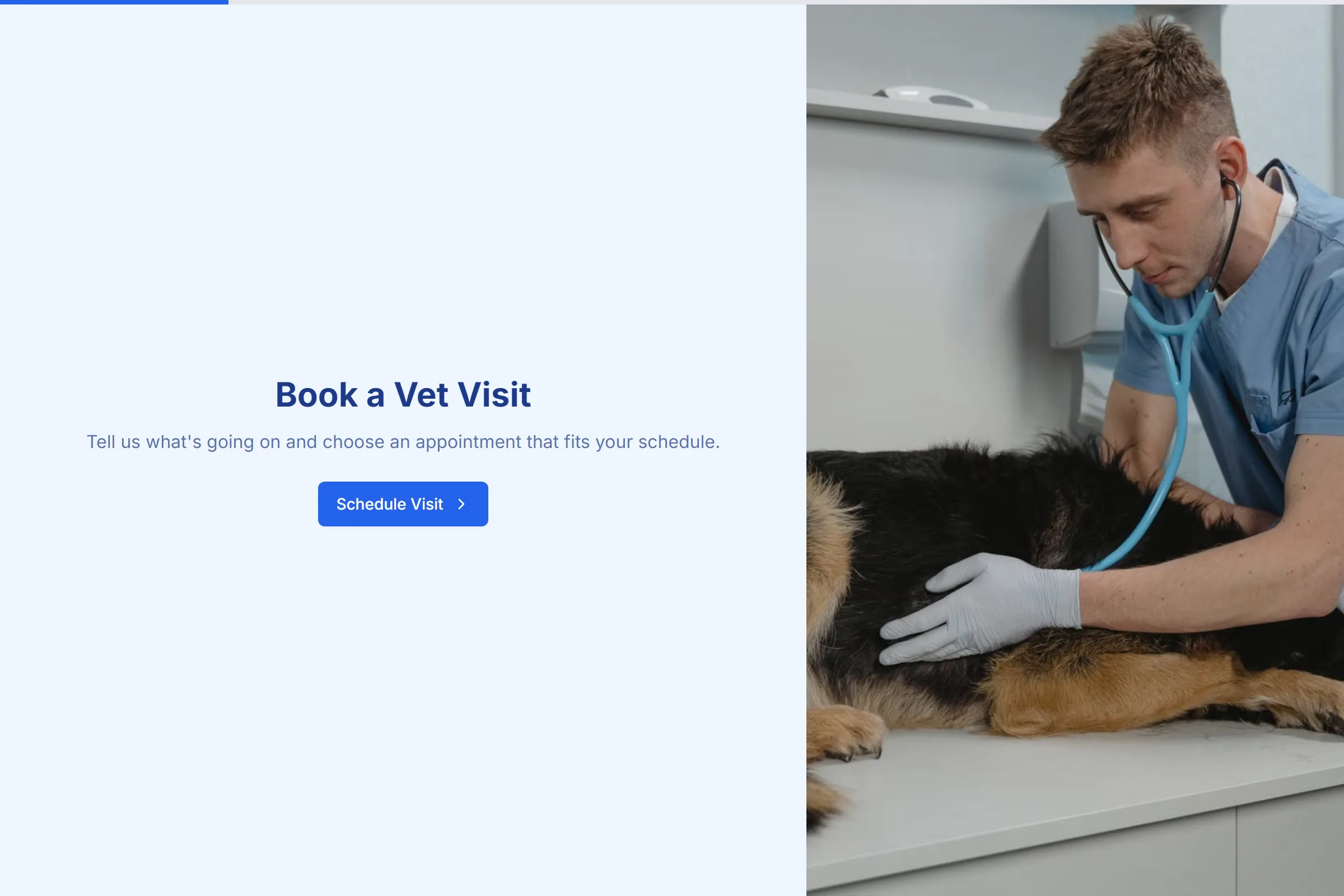 WholePaws Vet Appointment template preview