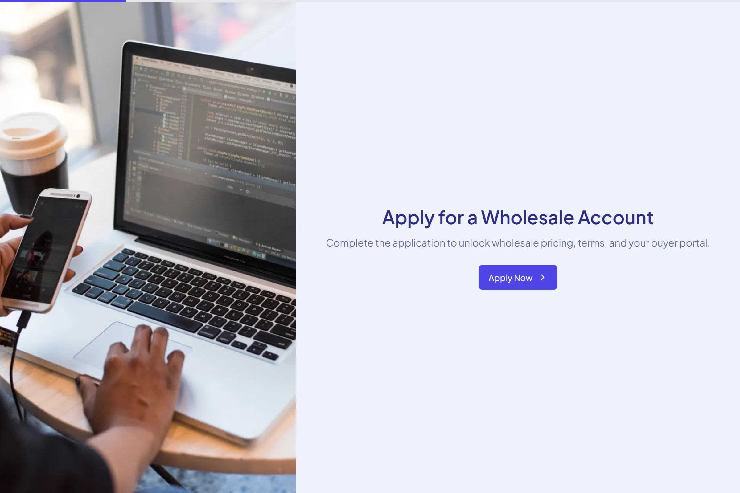 Wholesale Account Application template preview