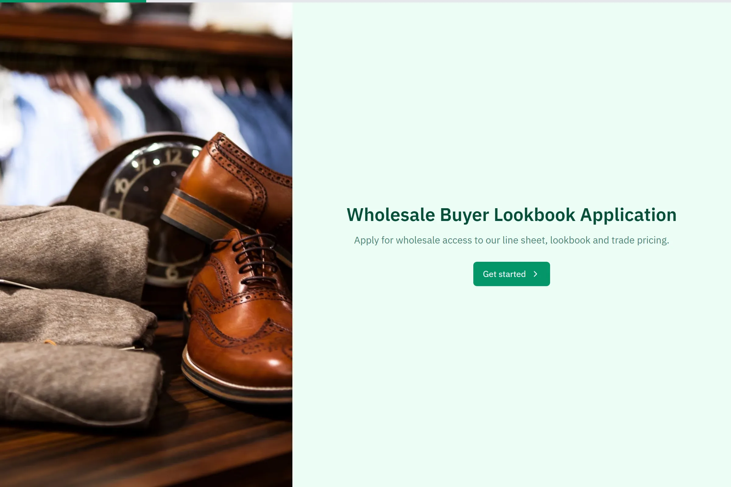 Wholesale Buyer Lookbook Application template preview