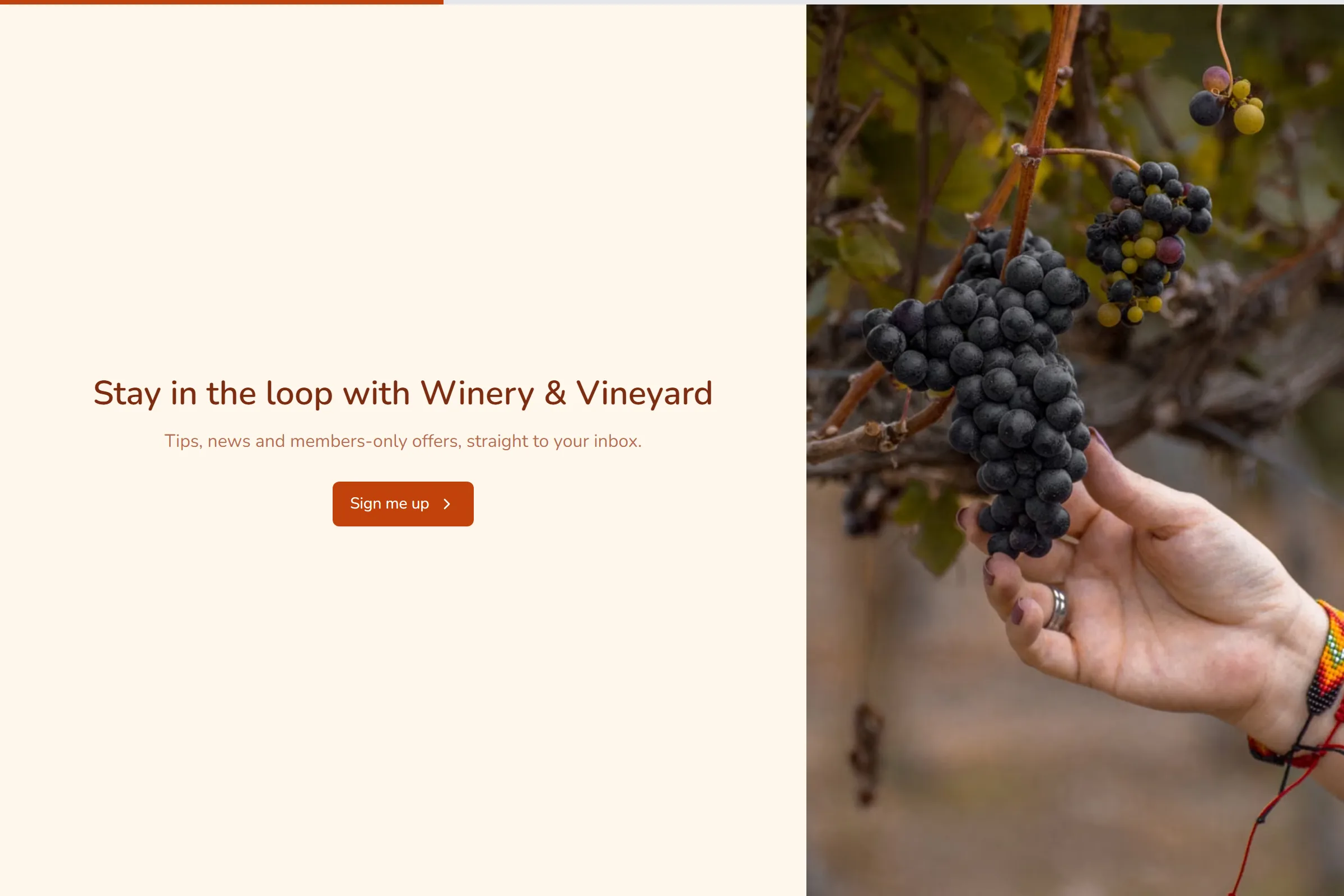 Winery & Vineyard Newsletter & Updates Signup template preview