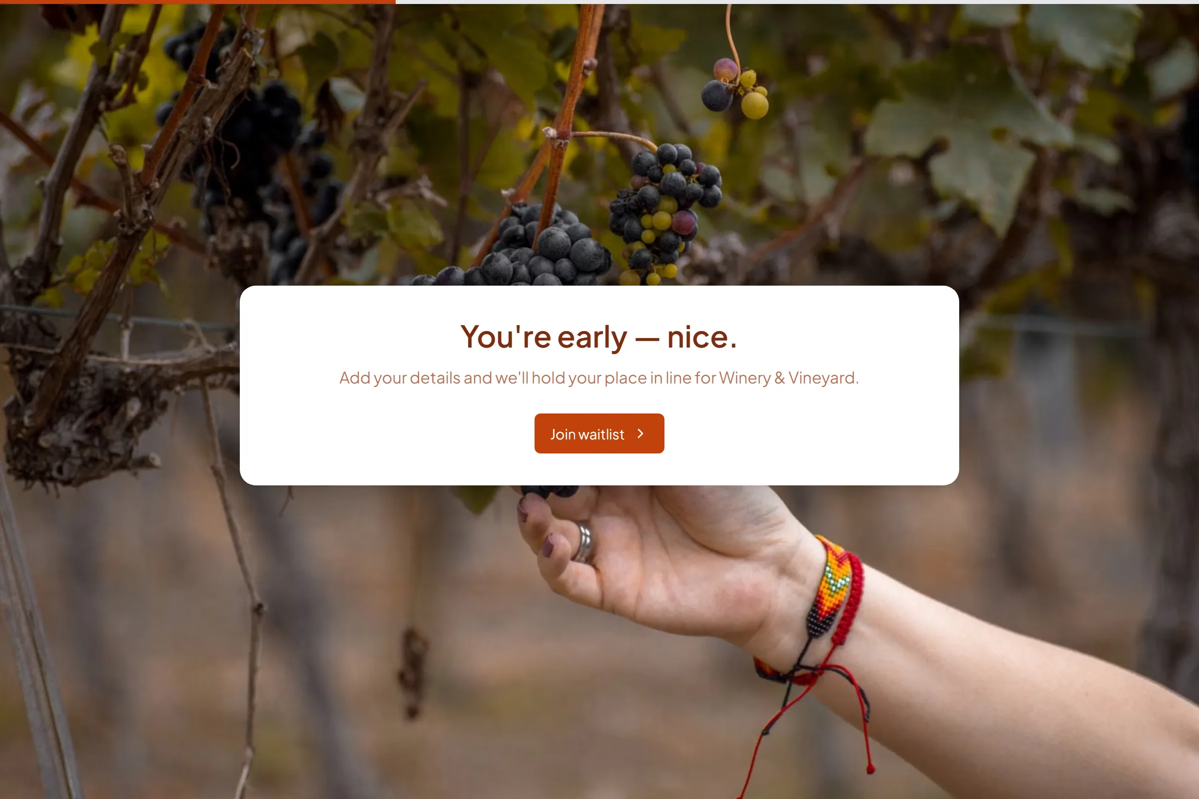 Winery & Vineyard Waitlist template preview