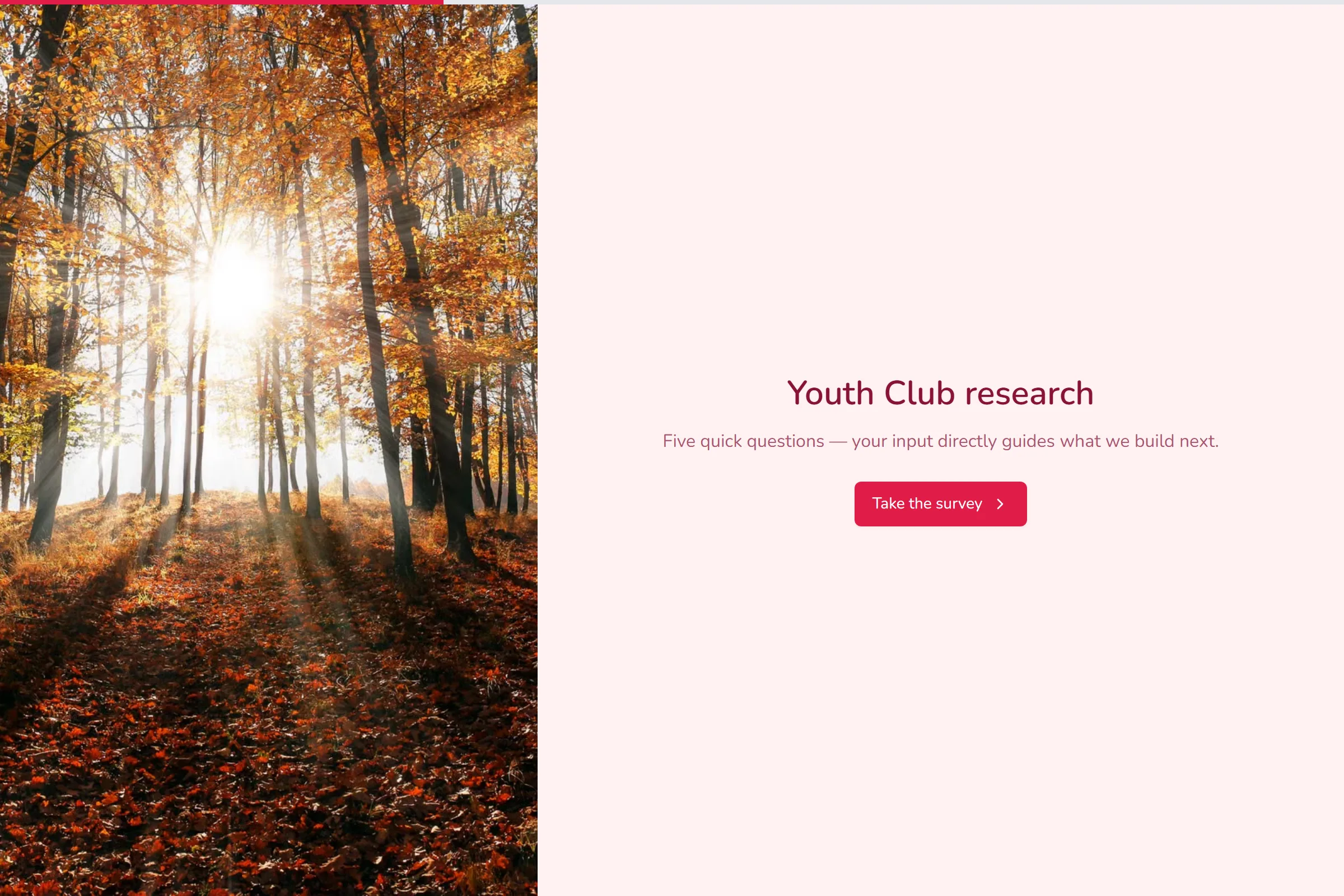Youth Club Market Research Survey template preview